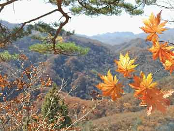 湖南一村数百年祖坟被人用挖机破坏 挖掘机盗墓引发公愤