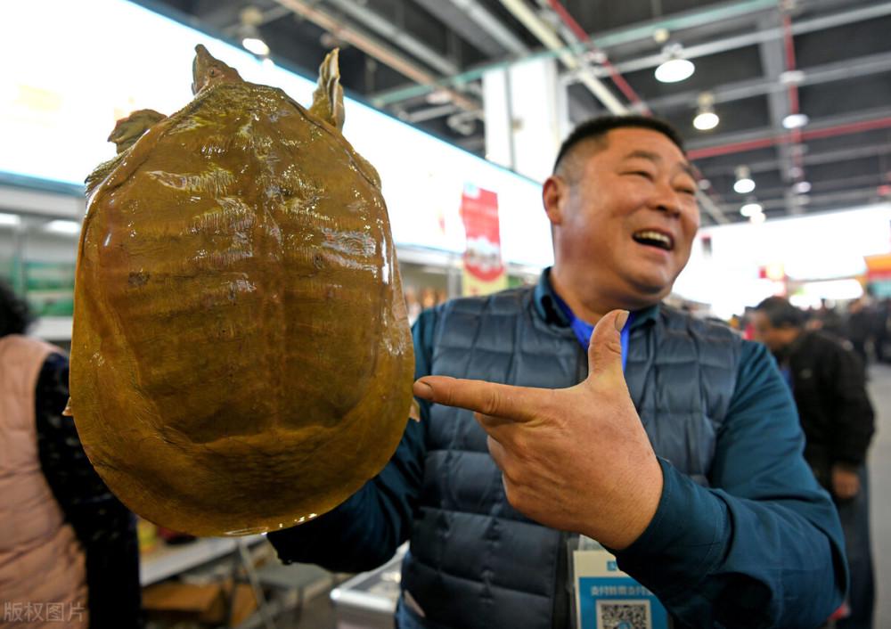 陕西男子寺庙前卖甲鱼引争议 善心被利用