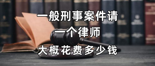 律师：家暴行为可能会涉及多种犯罪，曾有家暴案例被判处死刑 受害者坚决控告树立榜样